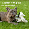 PETBOT® Loona